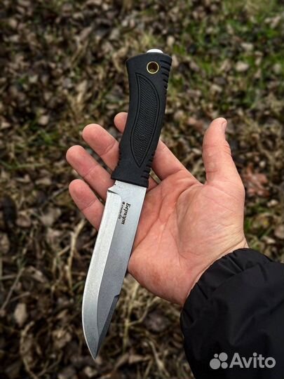 Беркут эластрон