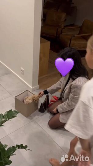 Мальтипу f1 micro mini N1 Russia ax collection