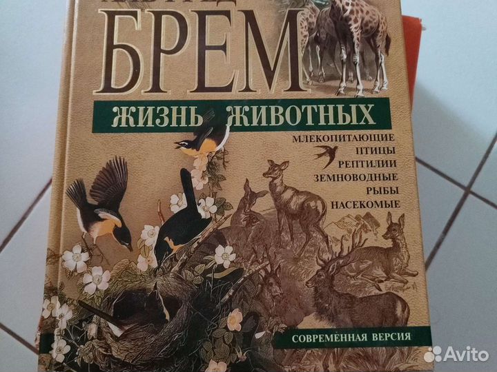 Детская энциклопедия