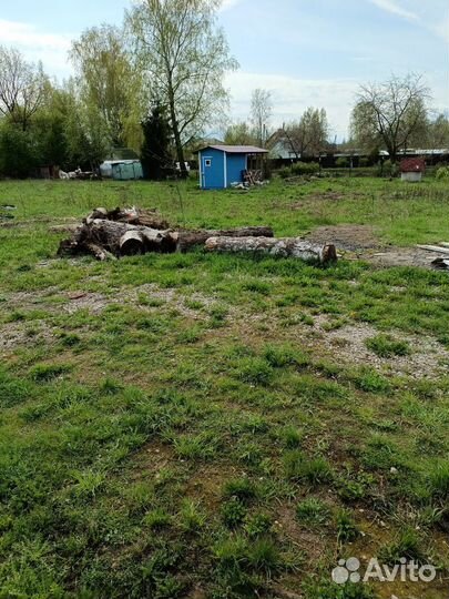Отдам дрова бесплатно самовывоз