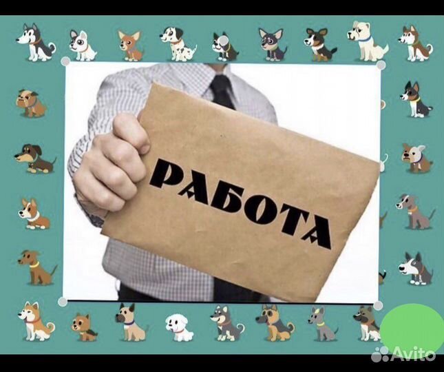 Няня для Щеночков + Помощник по Хозяйству