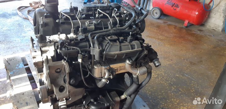 Двигатель Kia/Hyundai D4HB