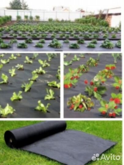 Спанбонд - укрывной материал