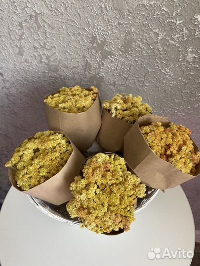 Сухоцветы для творчества