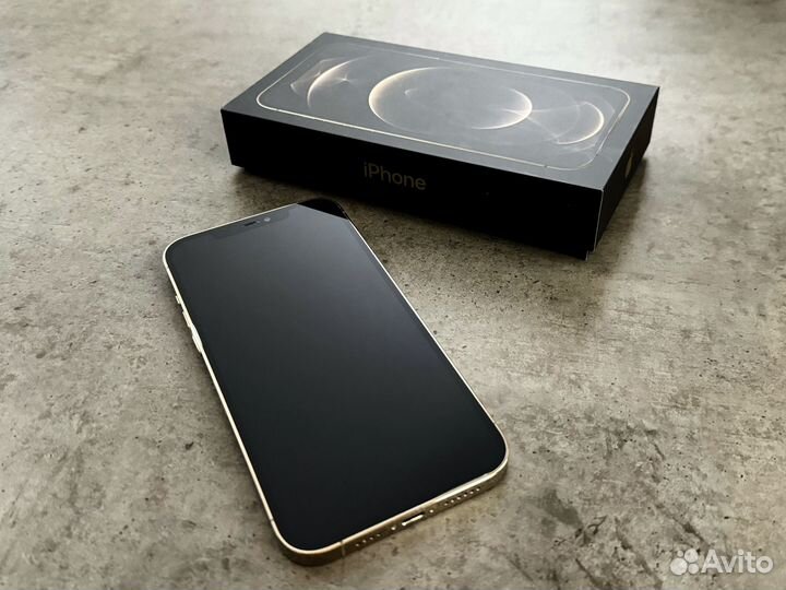 iPhone 12 Pro Max, 256 ГБ