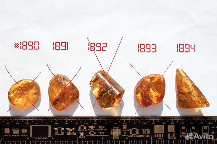 Натуральный балтийский янтарь с включением за 350р