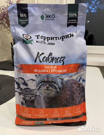 Корм для котят