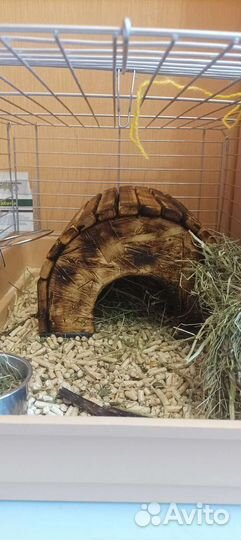 Домик для морских свинок