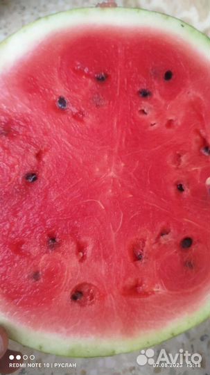 Арбуз