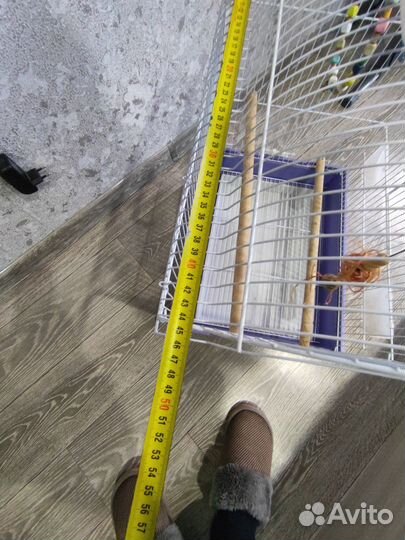 Клетка для попугая