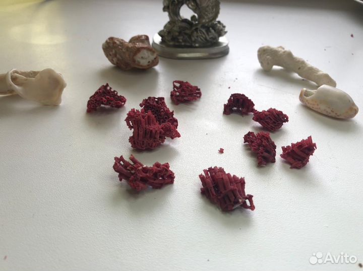 Красный коралл натуральный