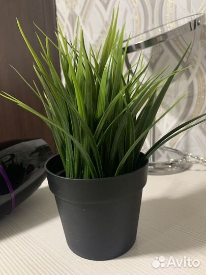 Искусственные растения IKEA