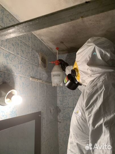 Уничтожение тараканов,клопов,плесени,шершней,крыс