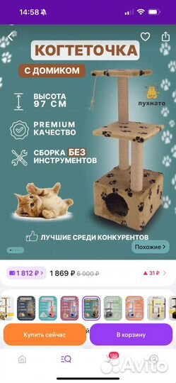 Канадский сфинкс