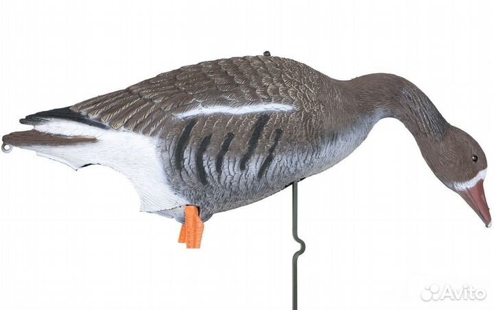 Чучела белолобого гуся Sport Plast