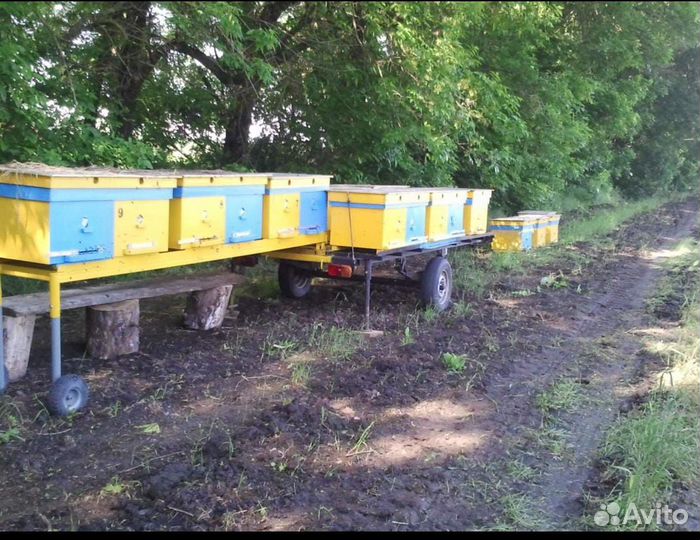 Прицеп для перевозки пчел