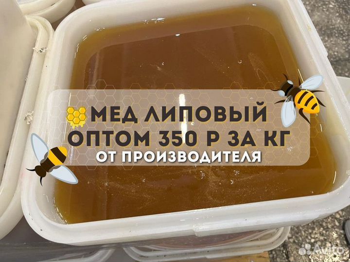 Мед липовый оптом