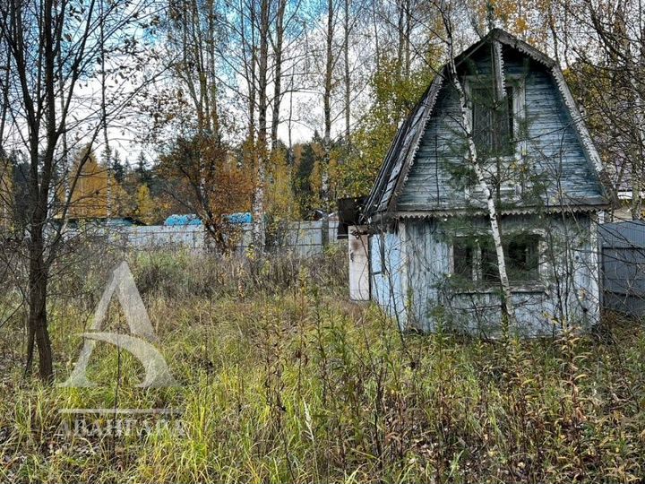 Участок 10,6 сот. (ИЖС)