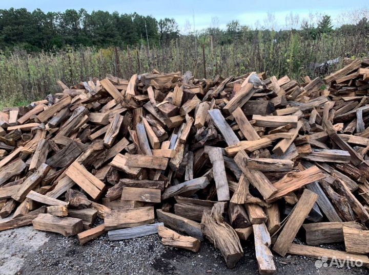 Береза на выбор