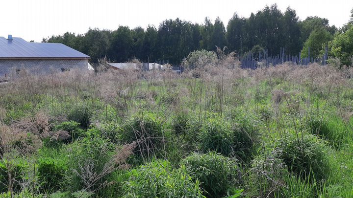 Участок 15 сот. (ИЖС)