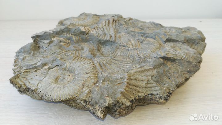 Древнее дно моря 2