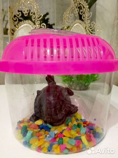 Переноска для рептилий