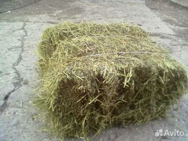 Сено в тюках