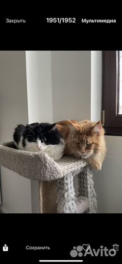 Домик для кошки с когтеточкой