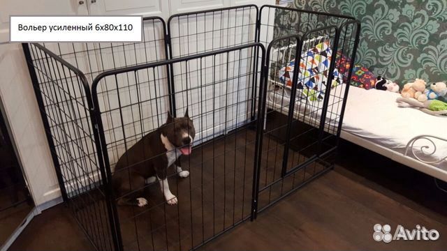 Вольер для крупных собак Усиленный