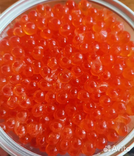 Икра кеты, Камчатка