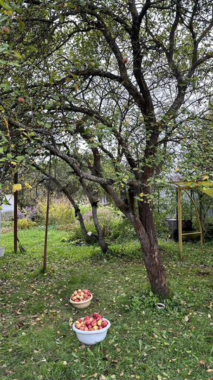 Дом 49,9 м² на участке 14 сот.