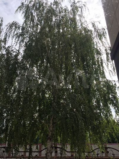 Дом 240 м² на участке 5,7 сот.