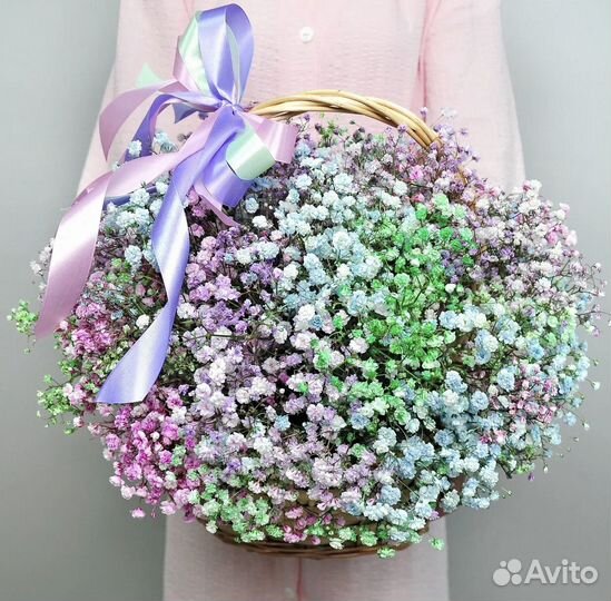 Гипсофила цветы букеты корзины композиции