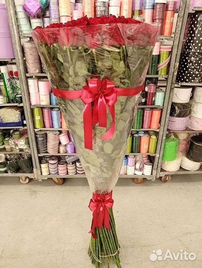 Розы Высокие 150см 160см 170см 180см 190см 2м