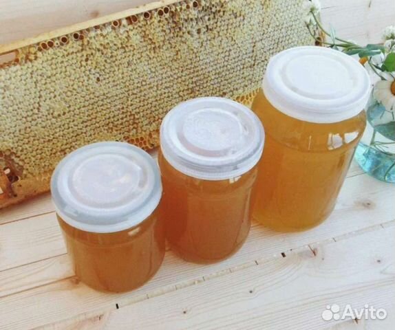 Мёд. Продукты пчеловодства