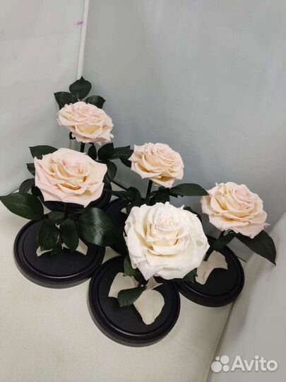 Роза в колбе оптом