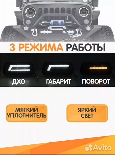 Надфарники нива