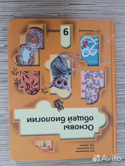 Учебник информатики 5 кл