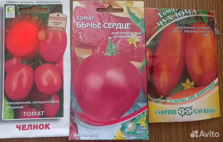 Рассада томатов не пикрованная