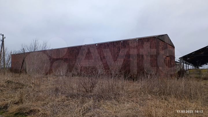 Свободного назначения, 2500 м²