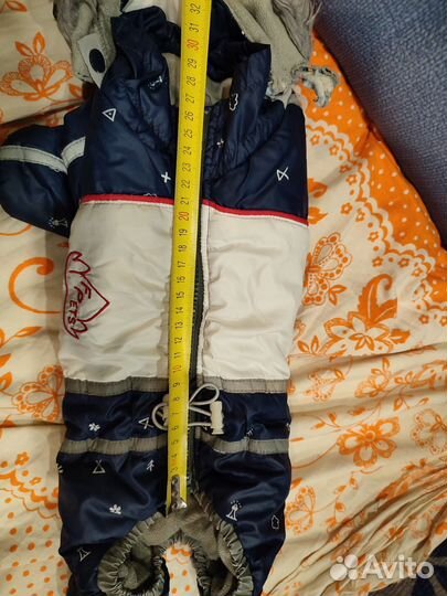 Костюм на маленькую собаку