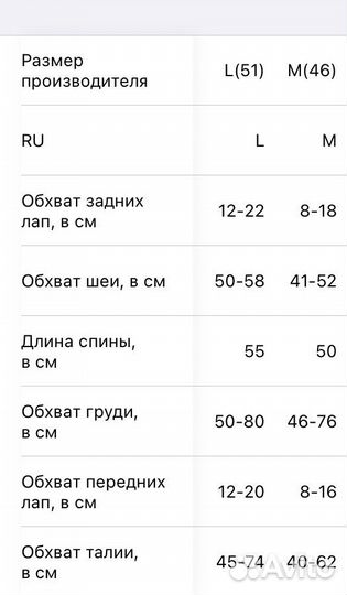 Комбинезон для собак (Корги) размер М