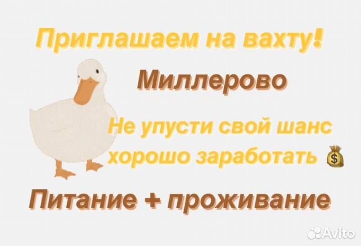 Упаковщик утки. Вахта 15 смен в Миллерово