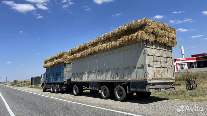 Пшеничная салома