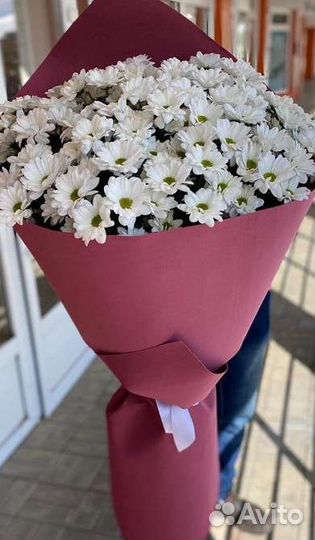 Букет Ромашки Купить.XXL