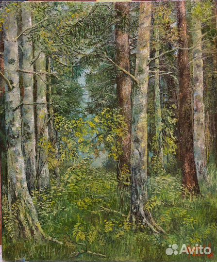 Профессиональный художник