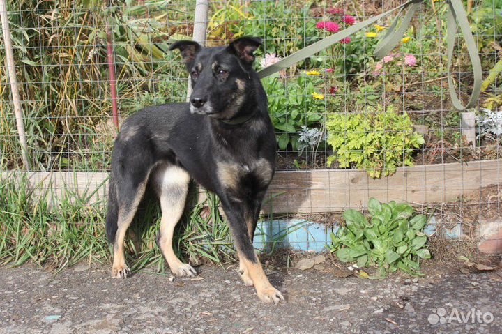 Рукка 1,5 года красивая и трогательная