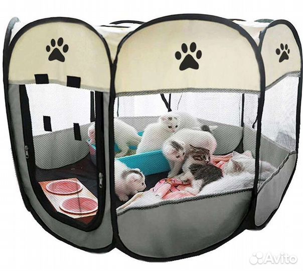 Передержка для кошек, попугаев и грызунов