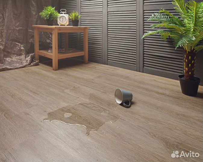 SPC ламинат со склада My step