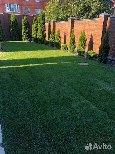 Укладка рулонного газона